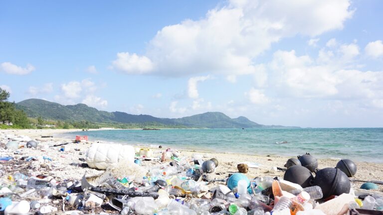 プラスチック削減に向けて、大手食品関連企業の取り組み事例をご紹介！