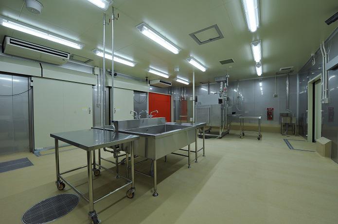 鴻池運輸株式会社　食品加工場 KIZU process centerの写真